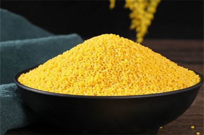 金佳谷物 優(yōu)質(zhì)谷物的匠心銷售與全產(chǎn)業(yè)鏈服務(wù)